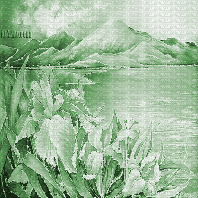 Y.A.M._summer landscape background flowers green - Безплатен анимиран GIF