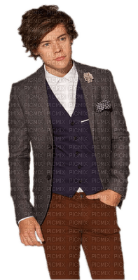 Kaz_Creations Harry Styles One Direction Singer Band Music - kostenlos png