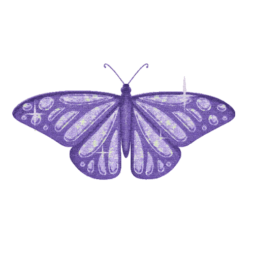 Butterfly - Animovaný GIF zadarmo