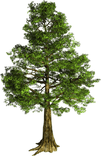 deco tree autumn kikkapink - PNG gratuit
