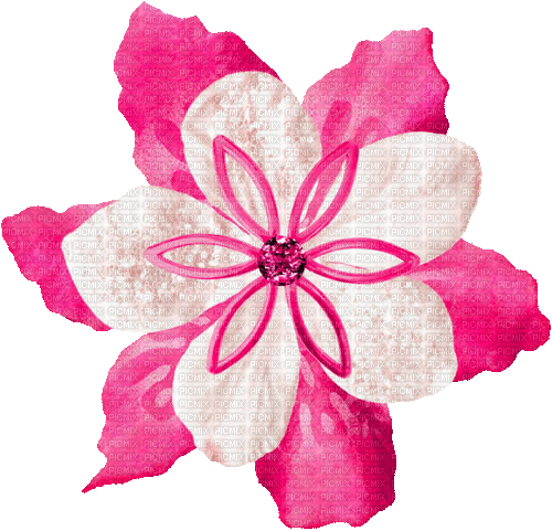 Christmas.Flower.White.Pink - KittyKatLuv65 - Animovaný GIF zadarmo