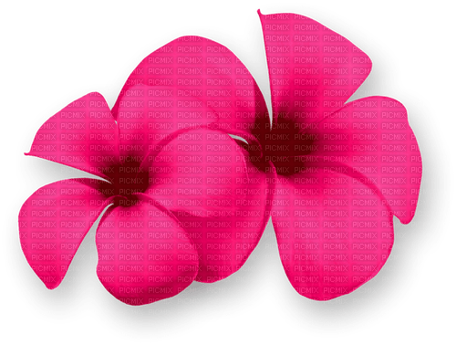 Flowers.Summer.Tropical.Pink - PNG gratuit
