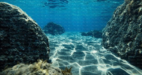 sea floor - ücretsiz png