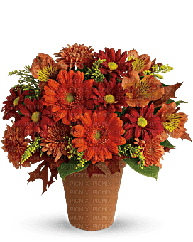 Kaz_Creations  Flowers Vase Plant - png ฟรี