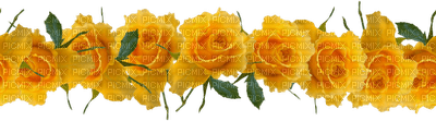 rosas amarelas-l - PNG gratuit