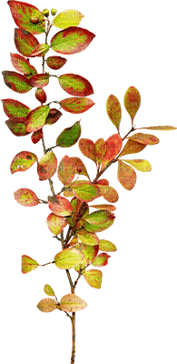 soave deco autumn leaves  branch orange green - PNG gratuit