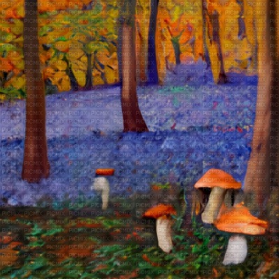 Forest with Bluebells and Mushrooms - ilmainen png