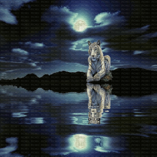 tiger fantasy water moon - Бесплатни анимирани ГИФ