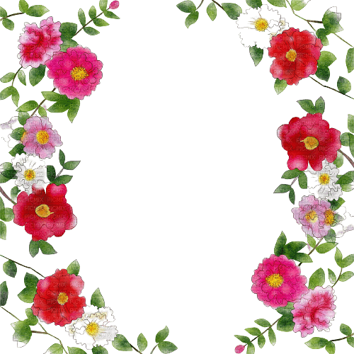 flower spring summer frame red white purple - Free PNG