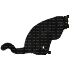 Kaz_Creations Cat Kitten - nemokama png
