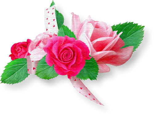 Roses.Ribbon.White.Pink - PNG gratuit