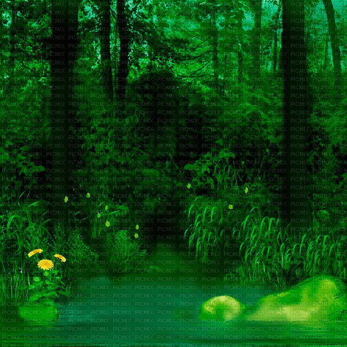 forest background by nataliplus - zadarmo png