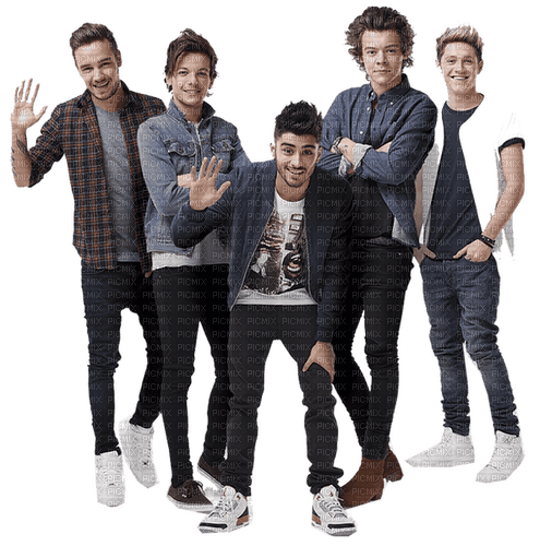 One Direction milla1959 - zdarma png