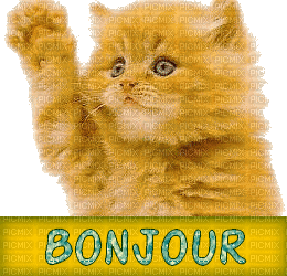 chat bonjour - 無料のアニメーション GIF