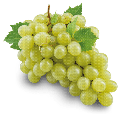 white grapes 5 - ilmainen png