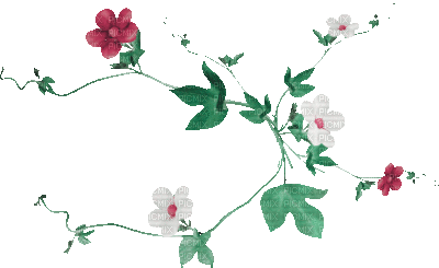 soave deco flowers branch animated pink green - 無料のアニメーション GIF