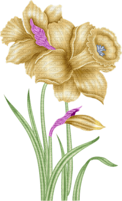 Fleur dorée.Cheyenne63 - PNG gratuit