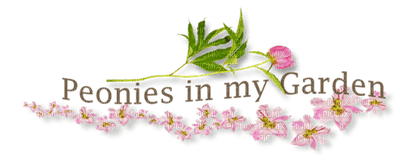 Kaz_Creations Quote Logo Text Peonies In My Garden - gratis png