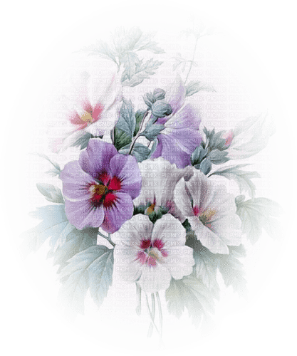 fleur, Pelageya - png gratuito