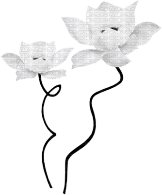 flowers anastasia - 免费PNG
