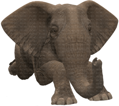 elefante - 免费PNG