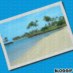 Hawaï - Free animated GIF