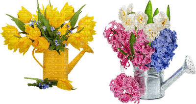 kukka, fleur, flower - ücretsiz png