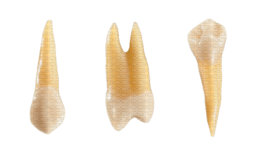 teeth - nemokama png
