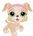 Littlest Pet Shop - GIF animé gratuit