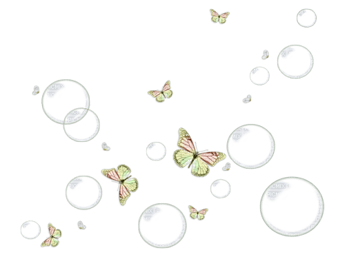 Papillons - ücretsiz png