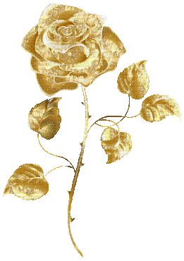 Золотая роза - Free animated GIF