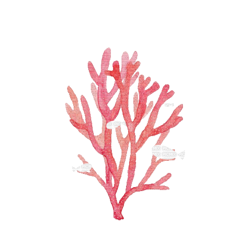 Sea Fish - Бесплатный анимированный гифка
