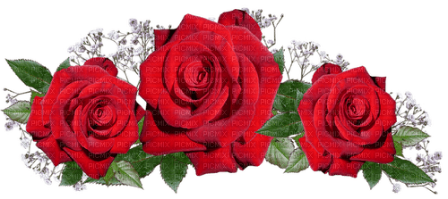 red roses flowers sunshine3 - png ฟรี