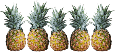 Barre de séparation "ananas" - gratis png
