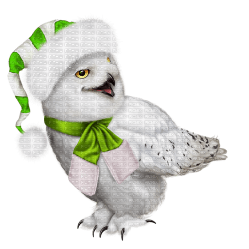 christmas owl  by nataliplus - zadarmo png