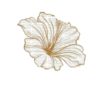 цветочек - 無料のアニメーション GIF