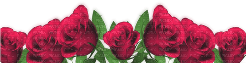 red roses - png ฟรี
