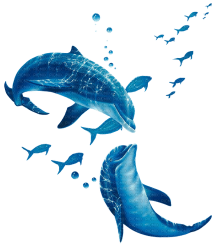 dolceluna summer blue dolphins - PNG gratuit