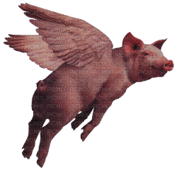 Surreal.Pig.surréaliste.Porc.Victoriabea - Free animated GIF