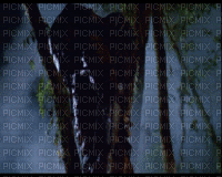 Predator - Zdarma animovaný GIF