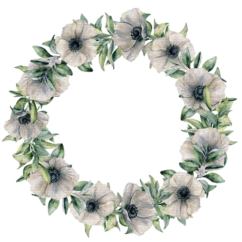 frame, aquarelle,  fleur, Orabel - PNG gratuit