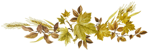 vintage border leaves autumn deco - фрее пнг