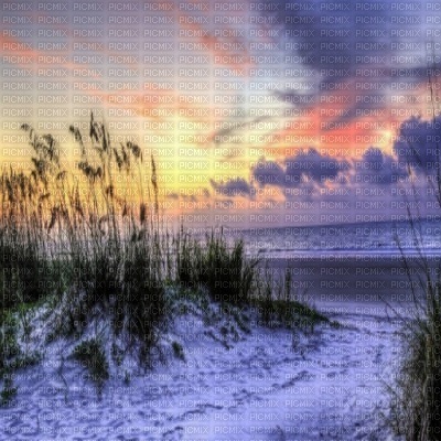 Kaz_Creations Beach Backgrounds Background - ücretsiz png