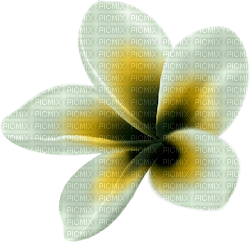 Kaz_Creations Deco Flowers Flower Colours - png ฟรี