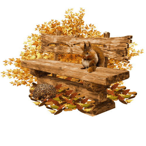 autumn deco kikkapink png cluster squirrel - 免费PNG