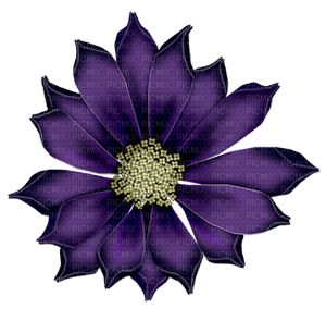 lila-decoration - PNG gratuit