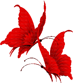 red butterfly - GIF animado grátis