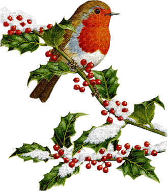 Christmas birds bp - darmowe png