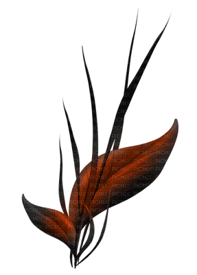 plants anastasia - 免费PNG