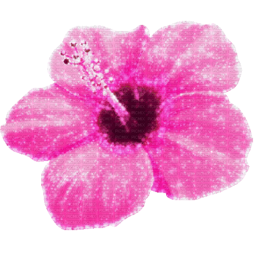 Animated.Flower.Pink - By KittyKatLuv65 - GIF animé gratuit